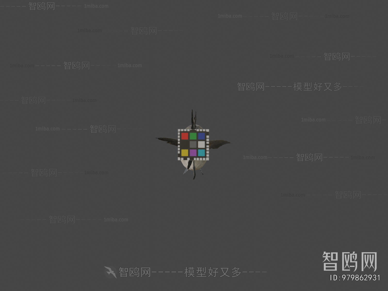 Modern Aquatic Animals