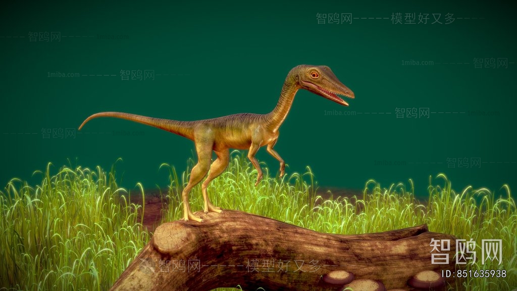 Modern Other Animals