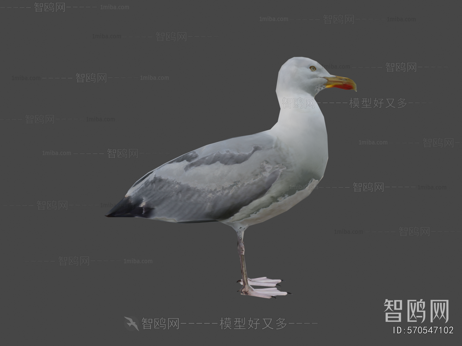 Modern Flying Animals