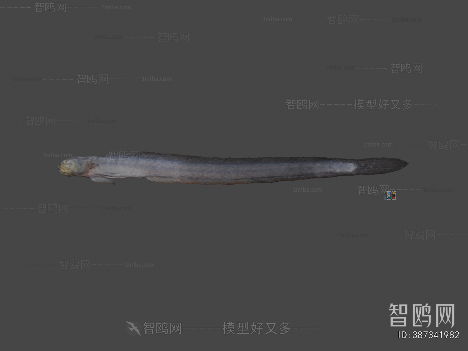 Modern Aquatic Animals