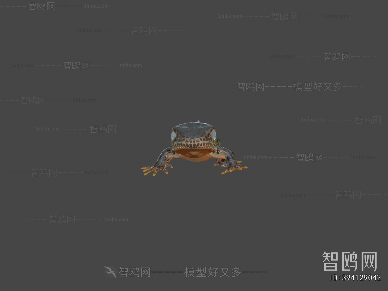 Modern Aquatic Animals