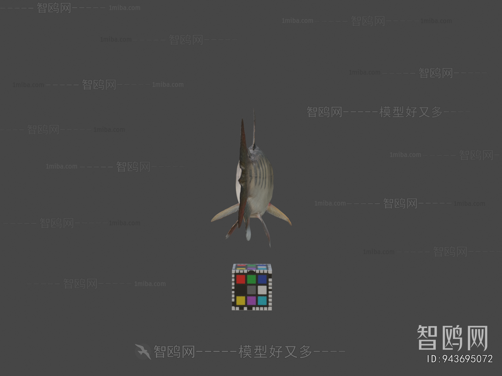 Modern Aquatic Animals