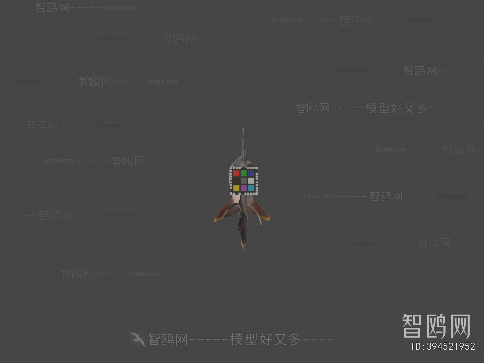 Modern Aquatic Animals