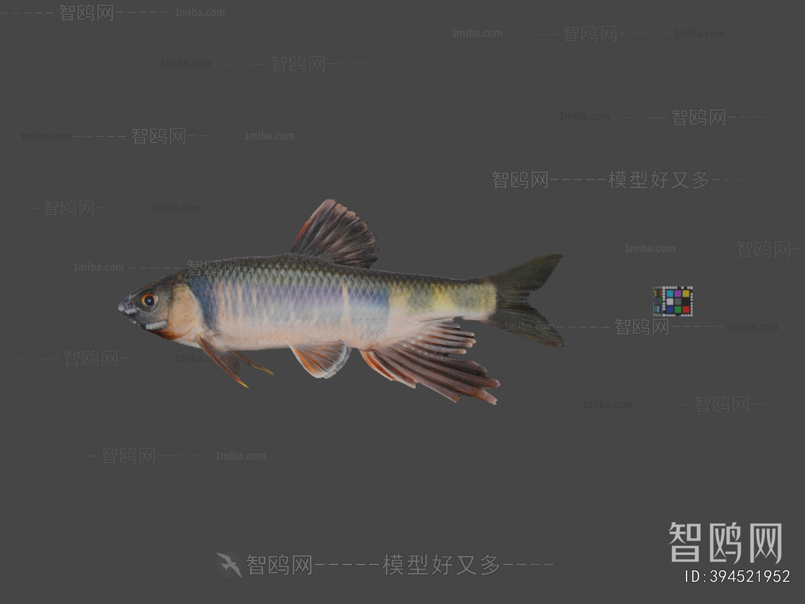 Modern Aquatic Animals