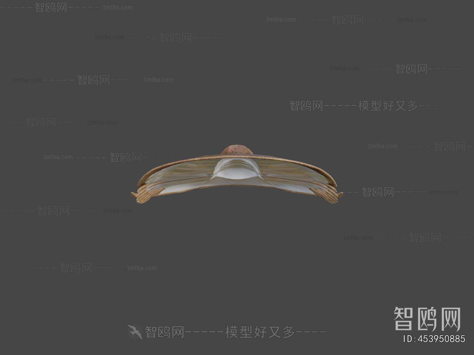 Modern Other Animals