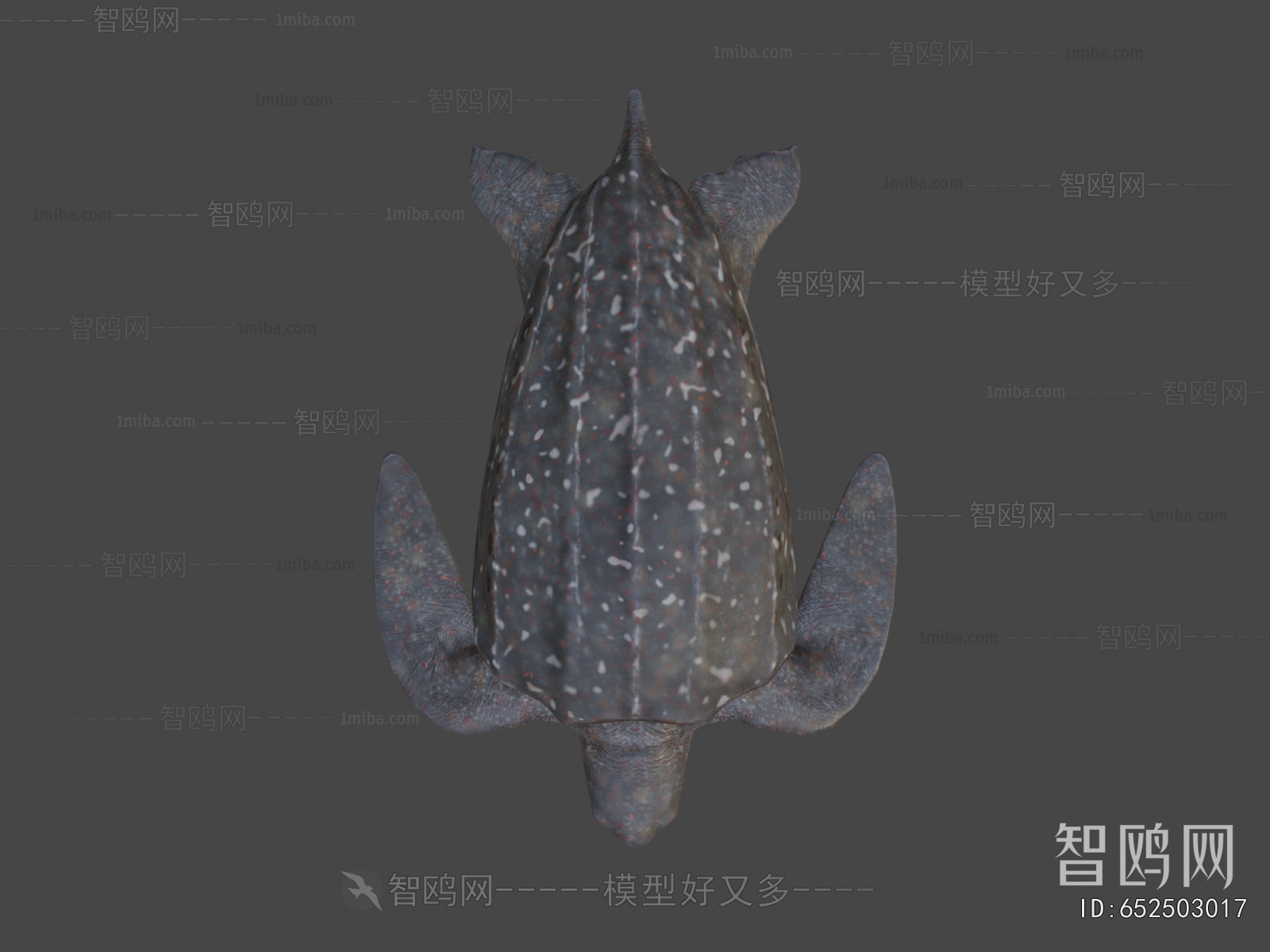 Modern Aquatic Animals