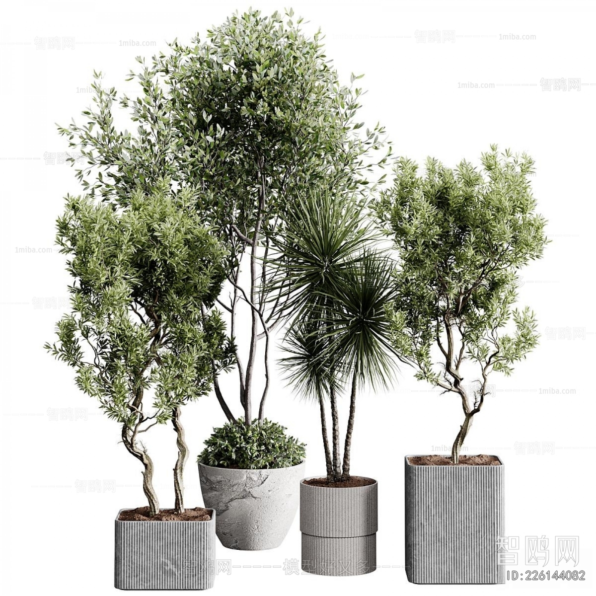 Modern Ground Green Plant Potted Plants