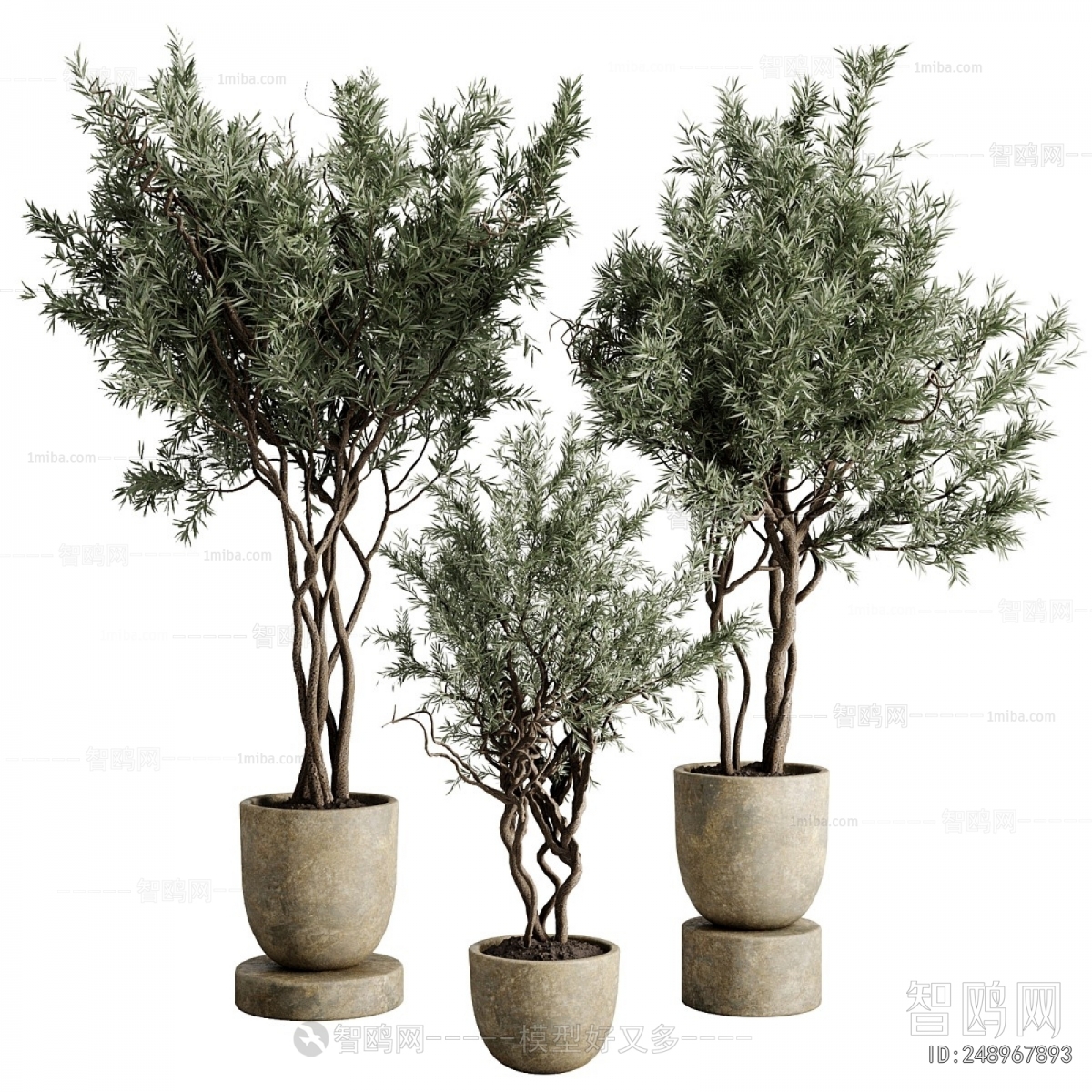 Modern Ground Green Plant Potted Plants