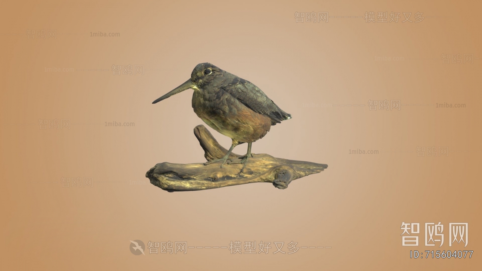 Modern Flying Animals