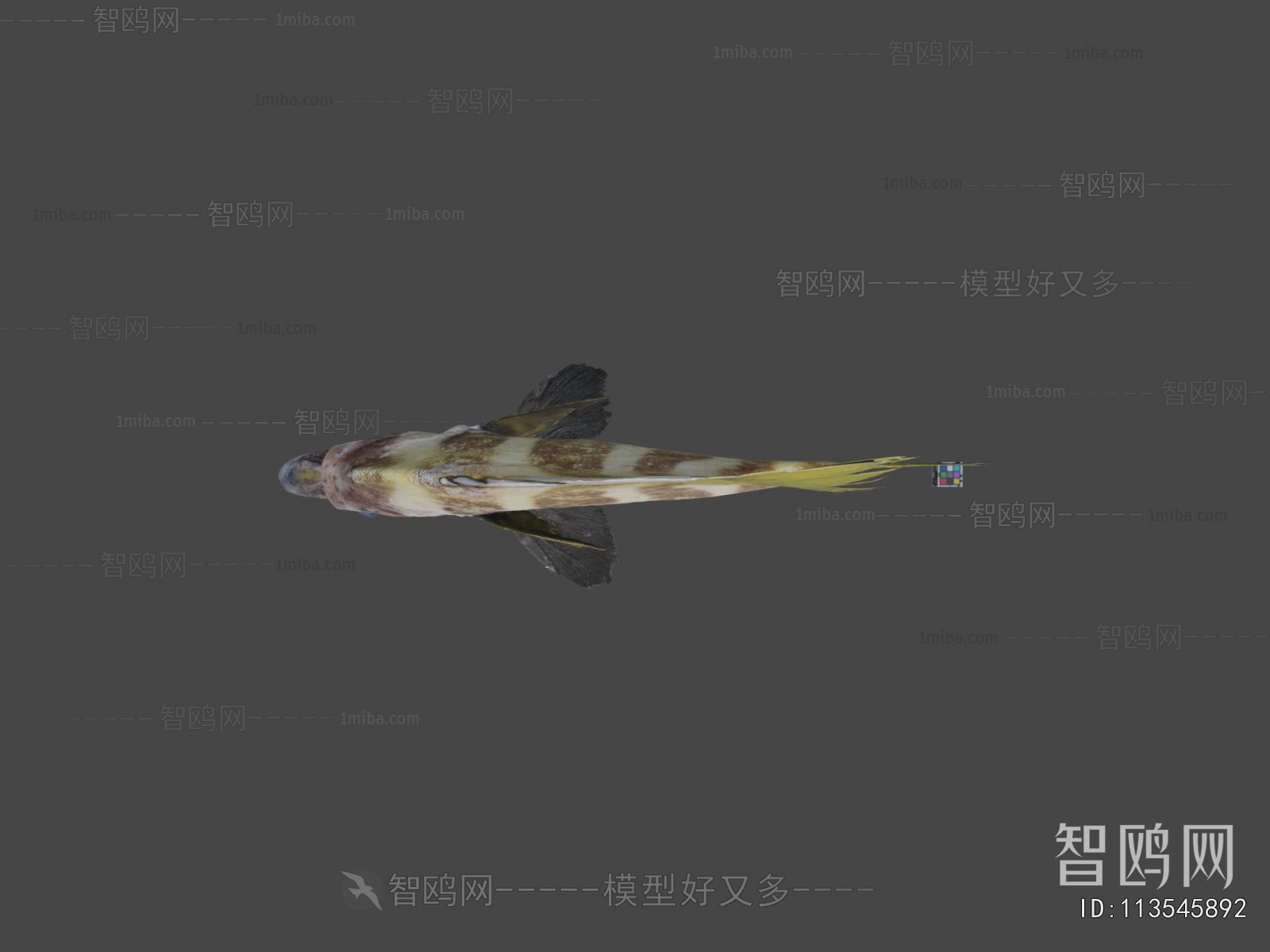 Modern Aquatic Animals