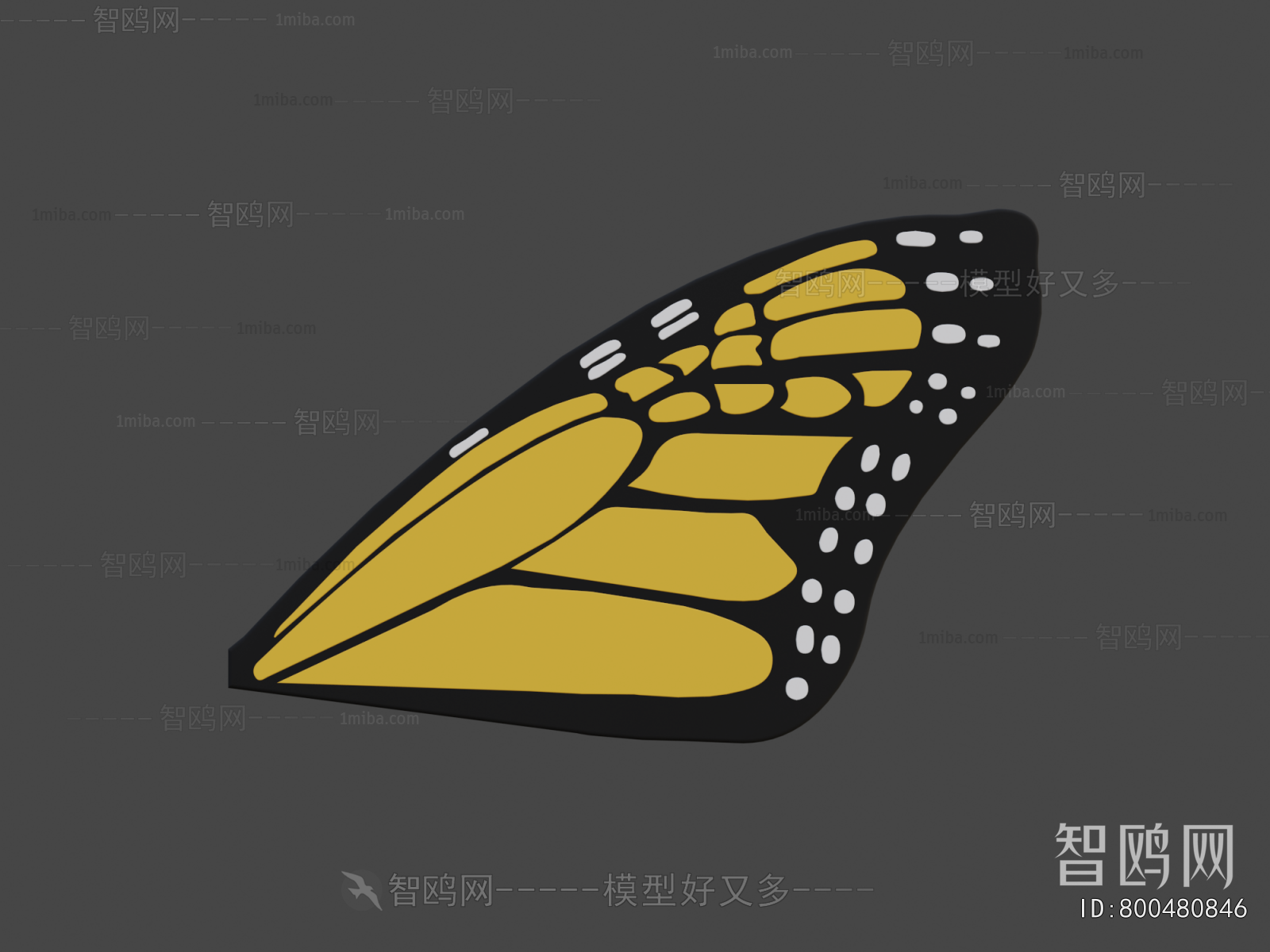 Modern Flying Animals