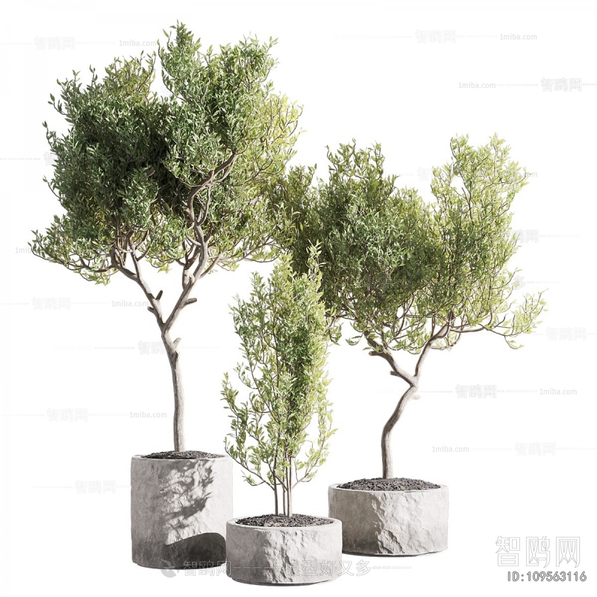Modern Ground Green Plant Potted Plants