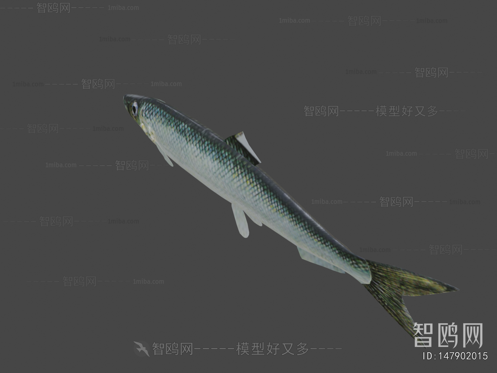 Modern Aquatic Animals