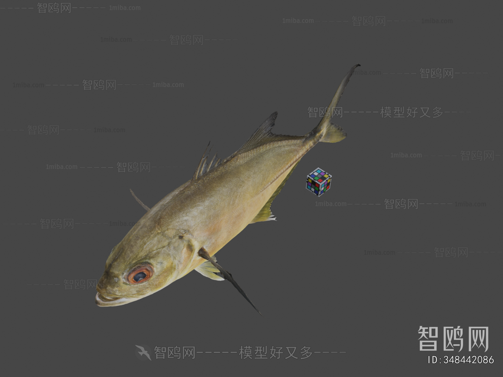 Modern Aquatic Product