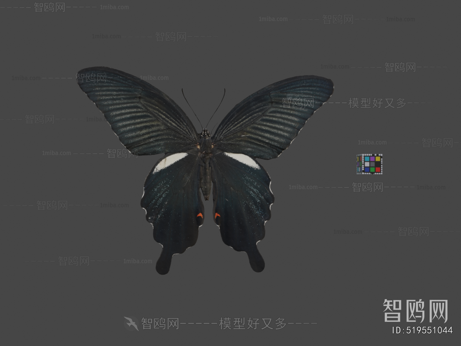 Modern Flying Animals