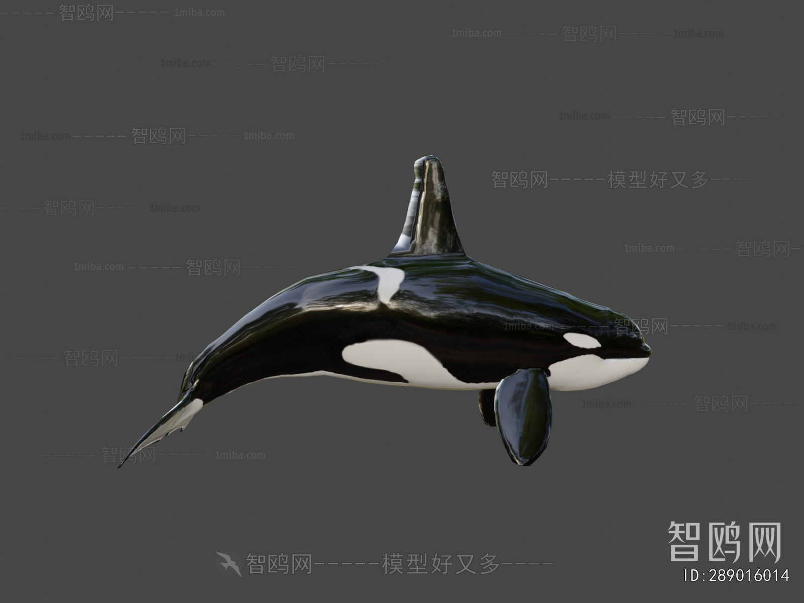 Modern Aquatic Animals