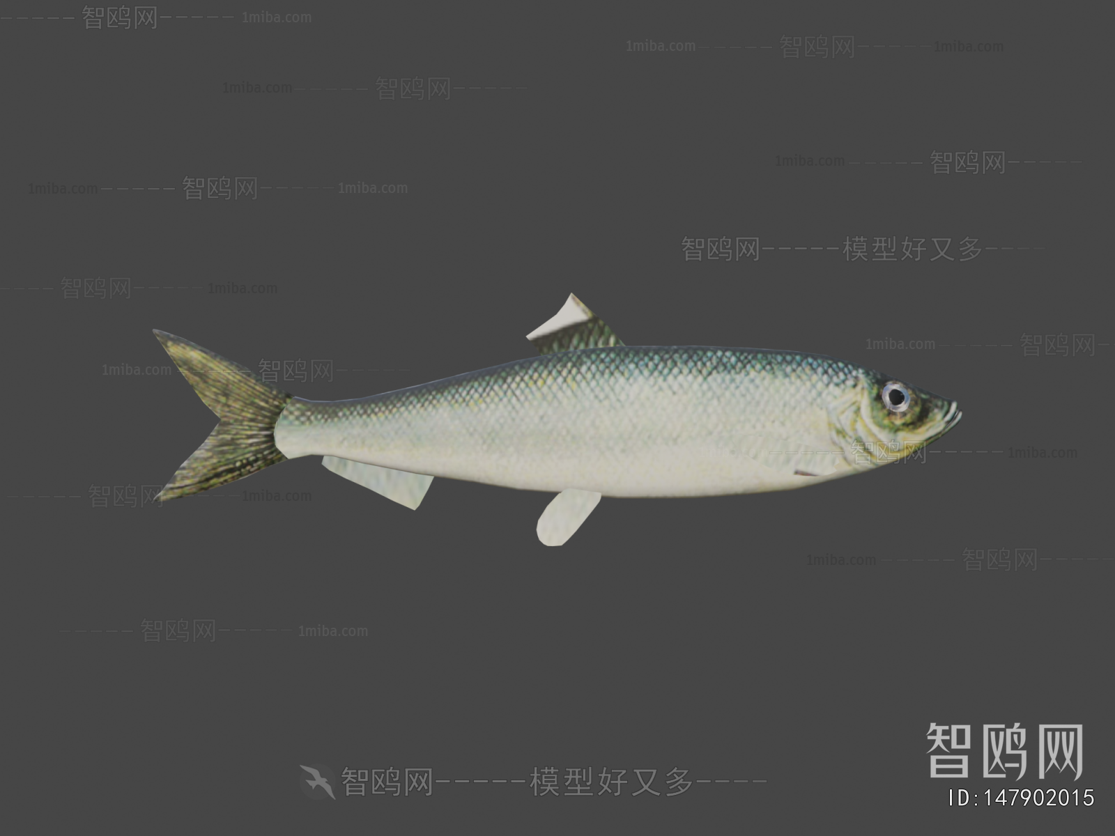 Modern Aquatic Animals