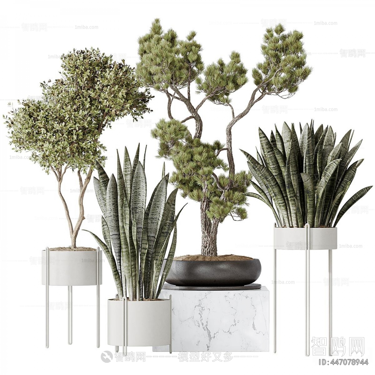 Modern Potted Green Plant