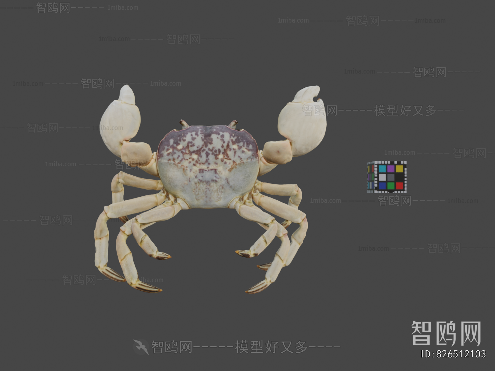 Modern Aquatic Animals