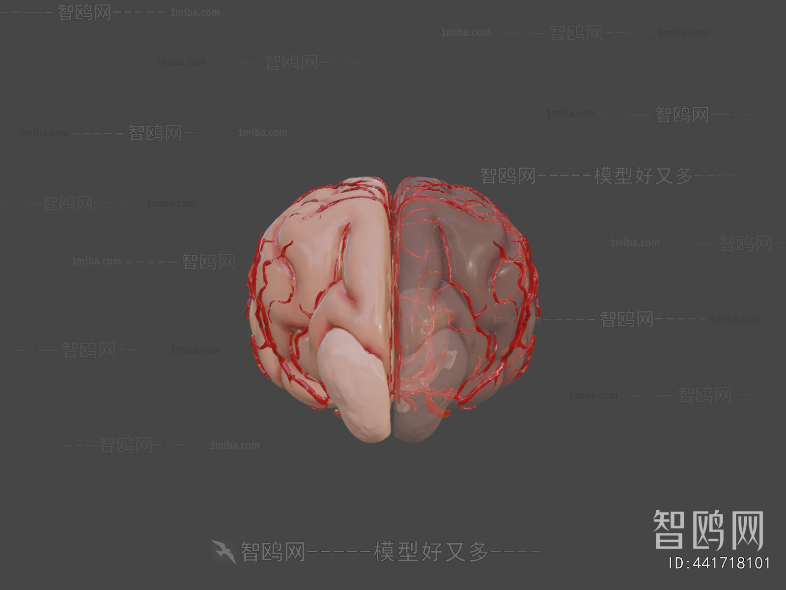 Modern Medical Equipment