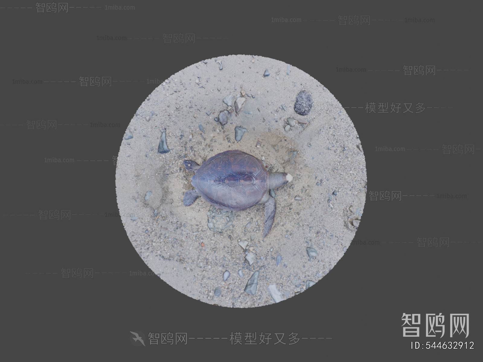 Modern Aquatic Animals