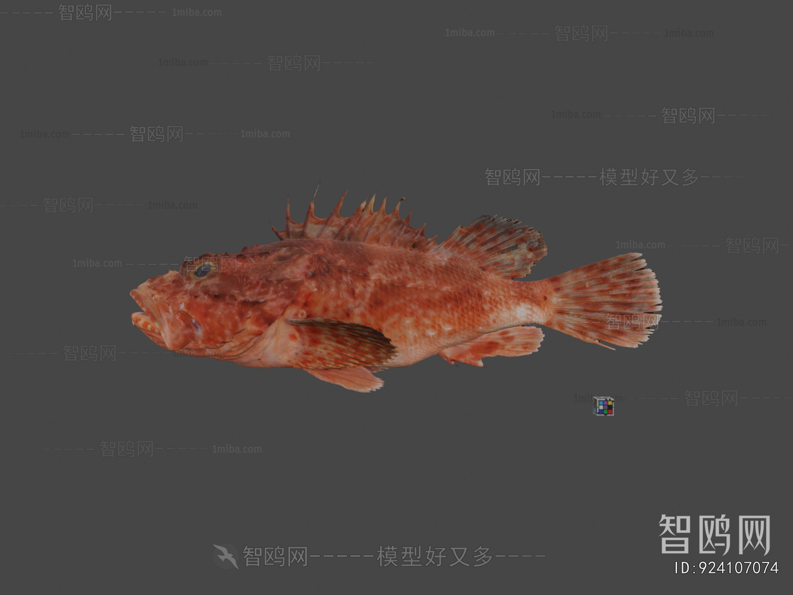 Modern Aquatic Animals