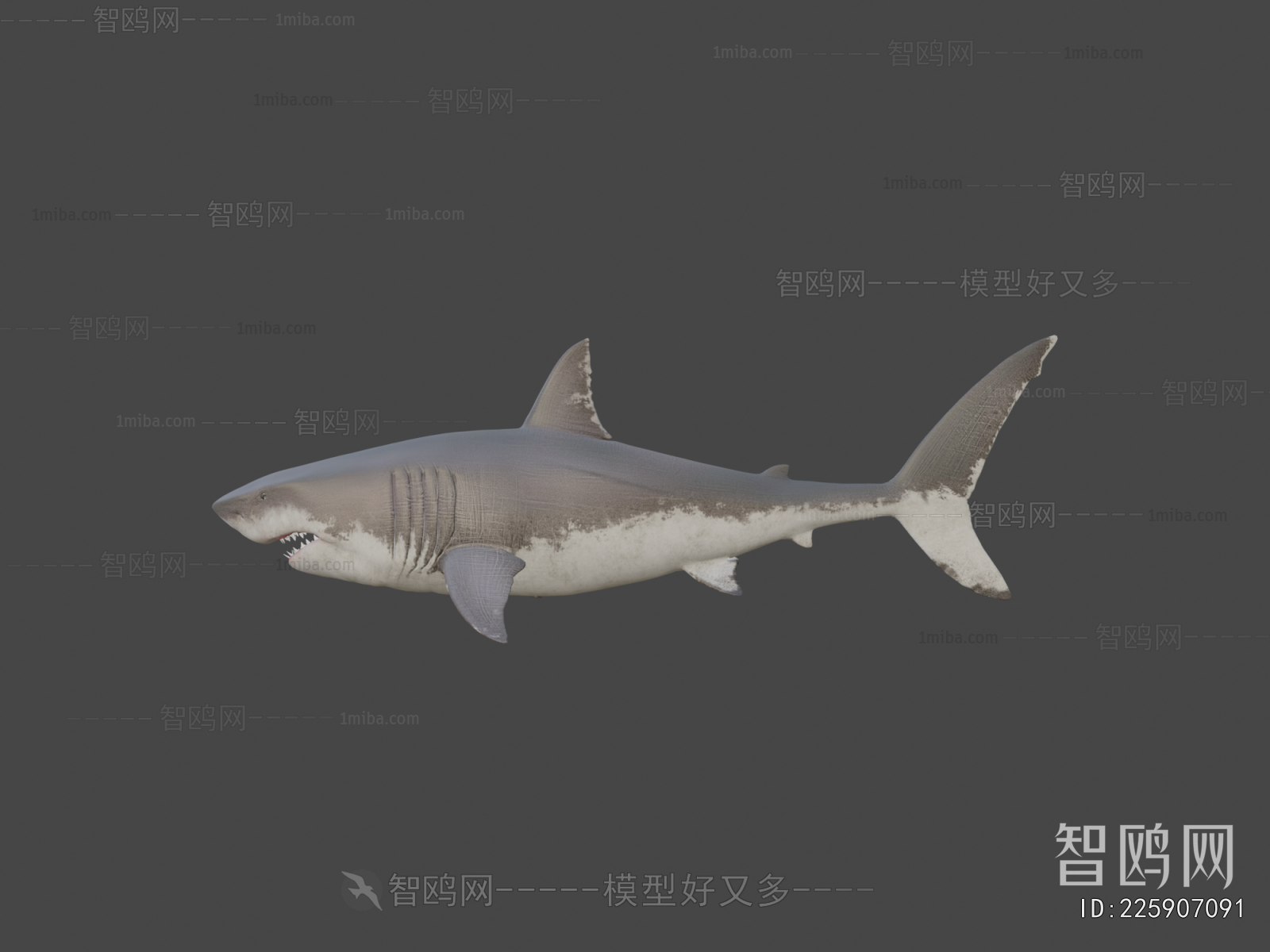 Modern Aquatic Animals