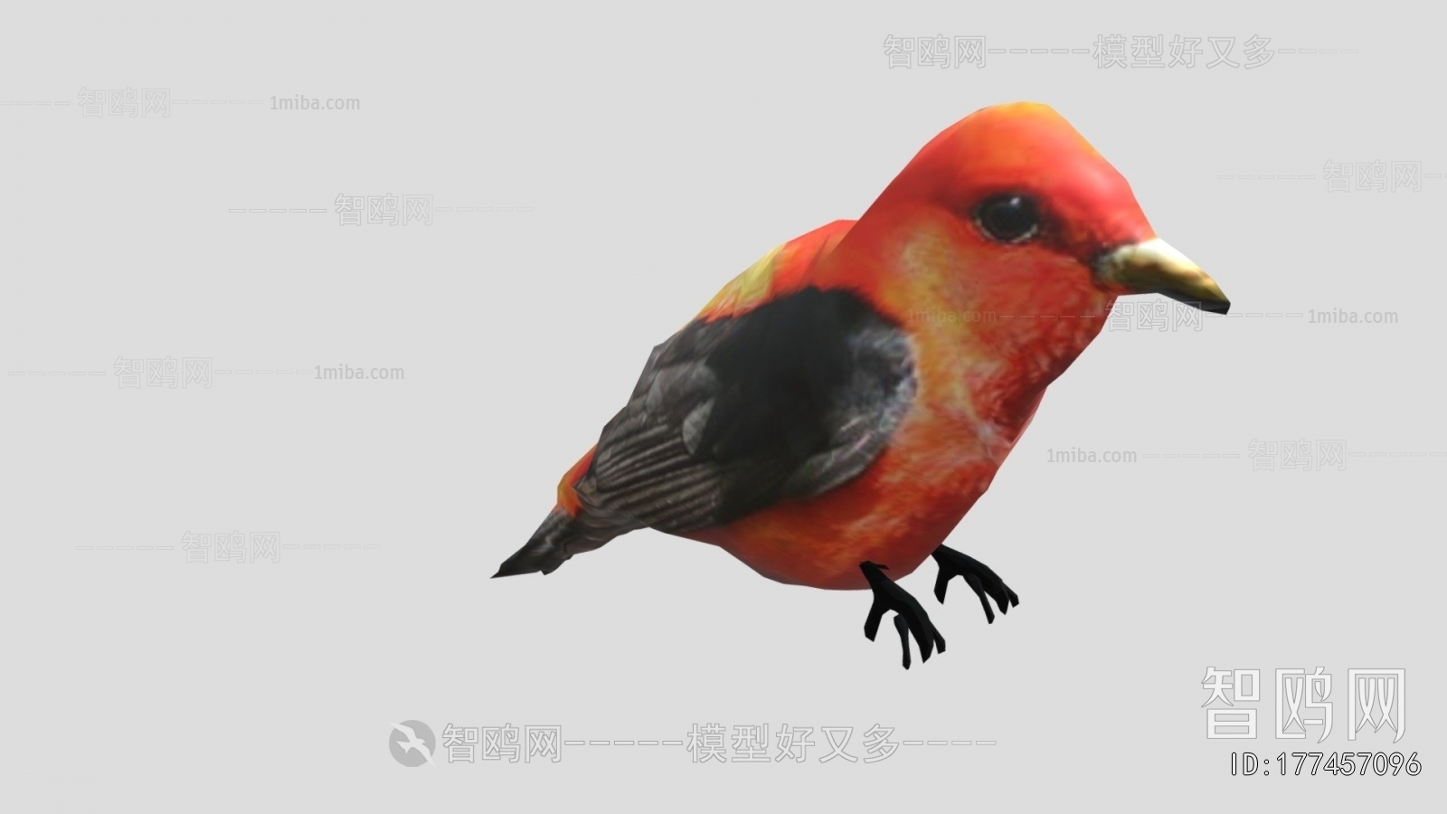 Modern Flying Animals