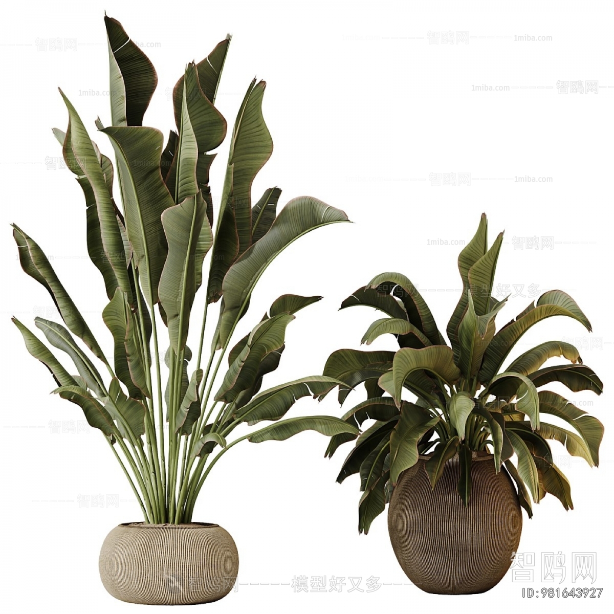 Modern Ground Green Plant Potted Plants