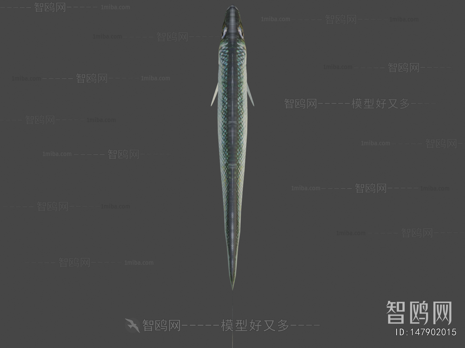 Modern Aquatic Animals