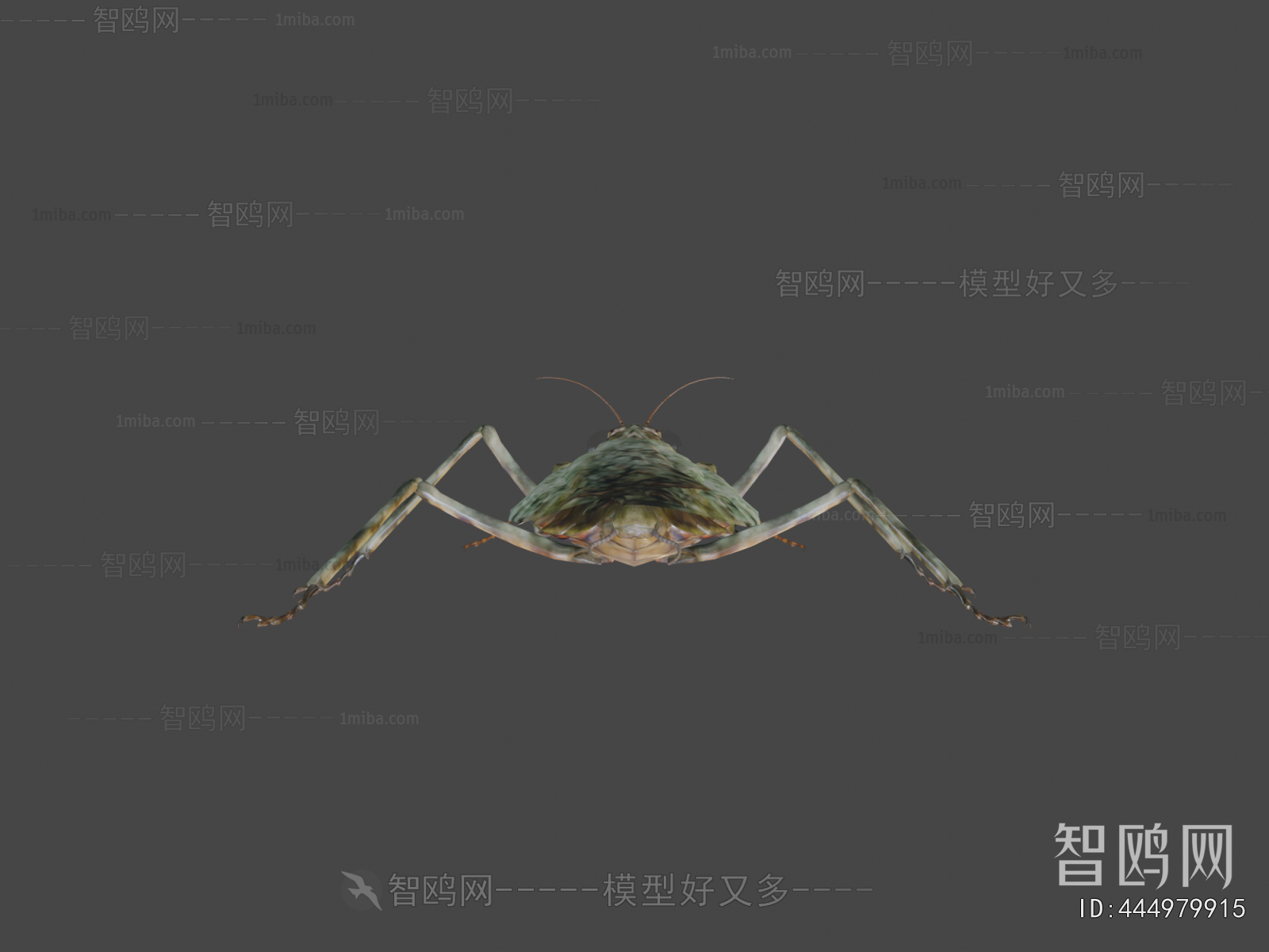 Modern Flying Animals