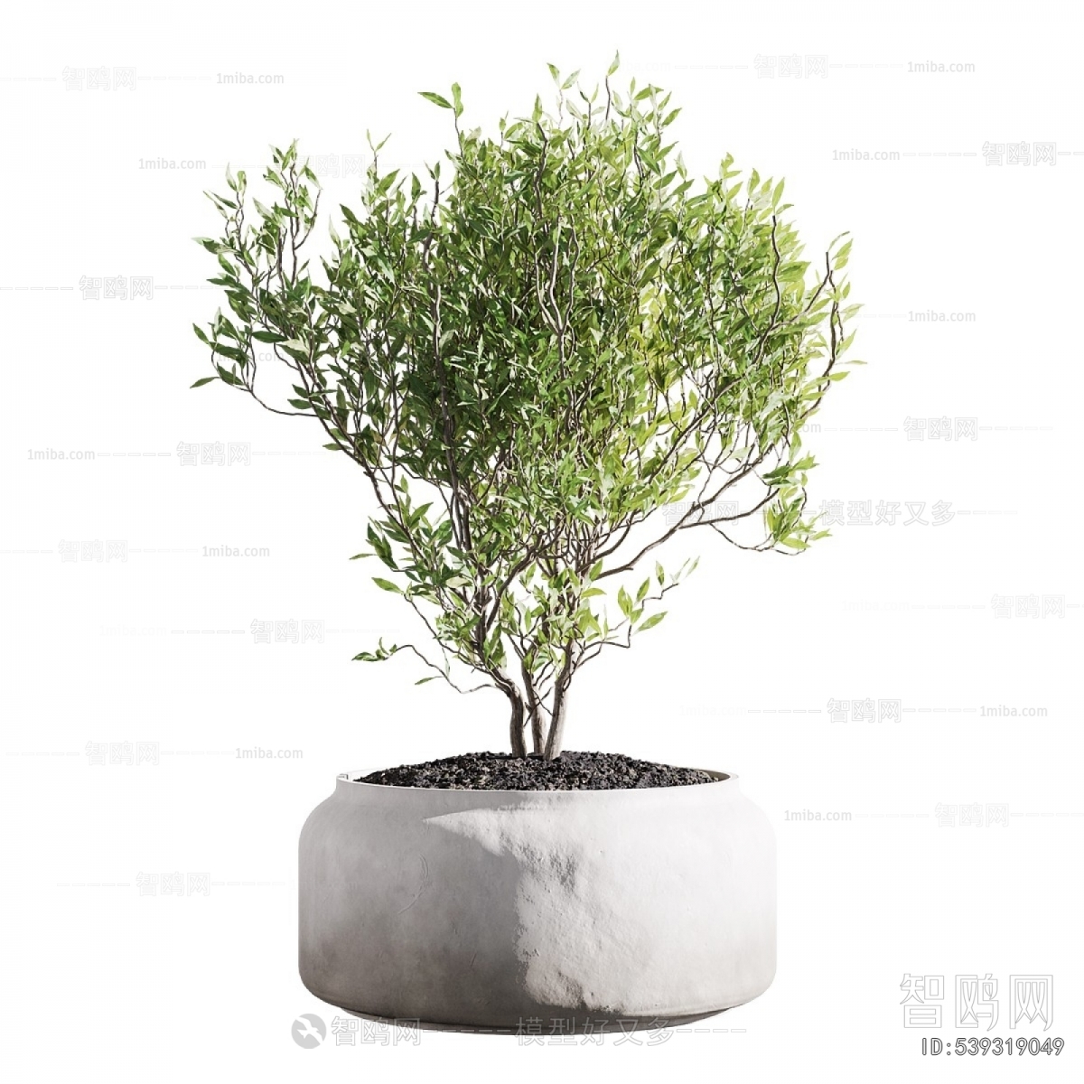 Modern Potted Green Plant