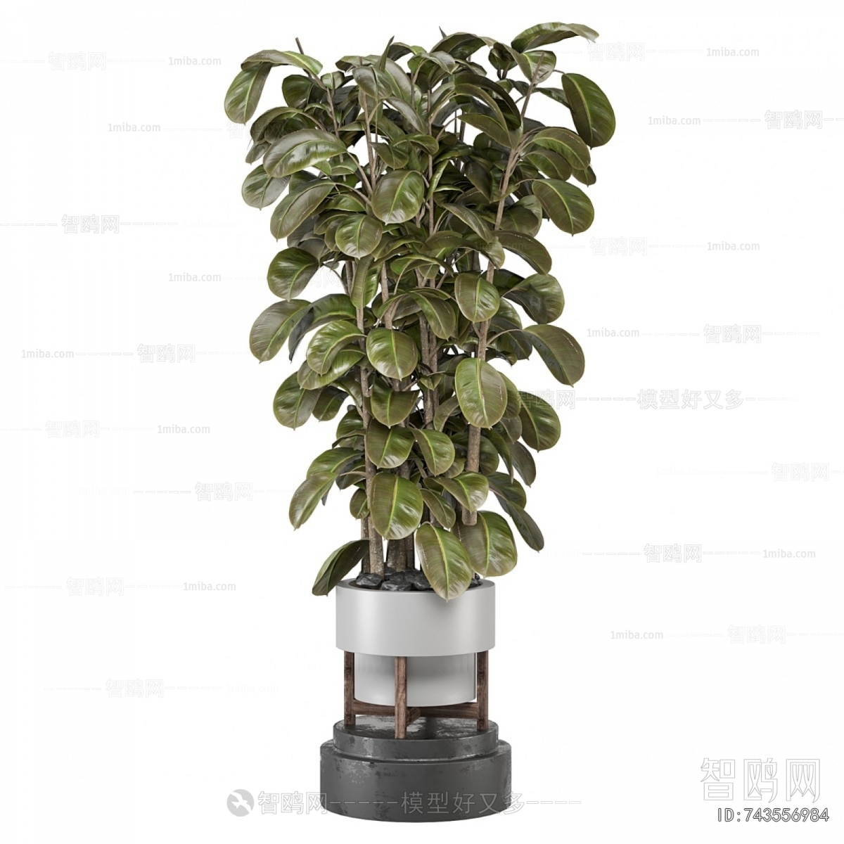 Modern Ground Green Plant Potted Plants