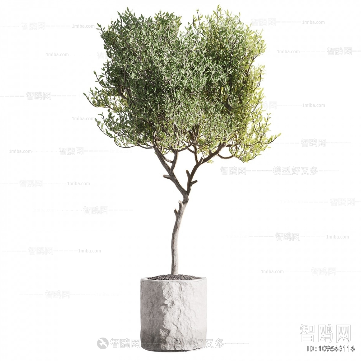 Modern Ground Green Plant Potted Plants