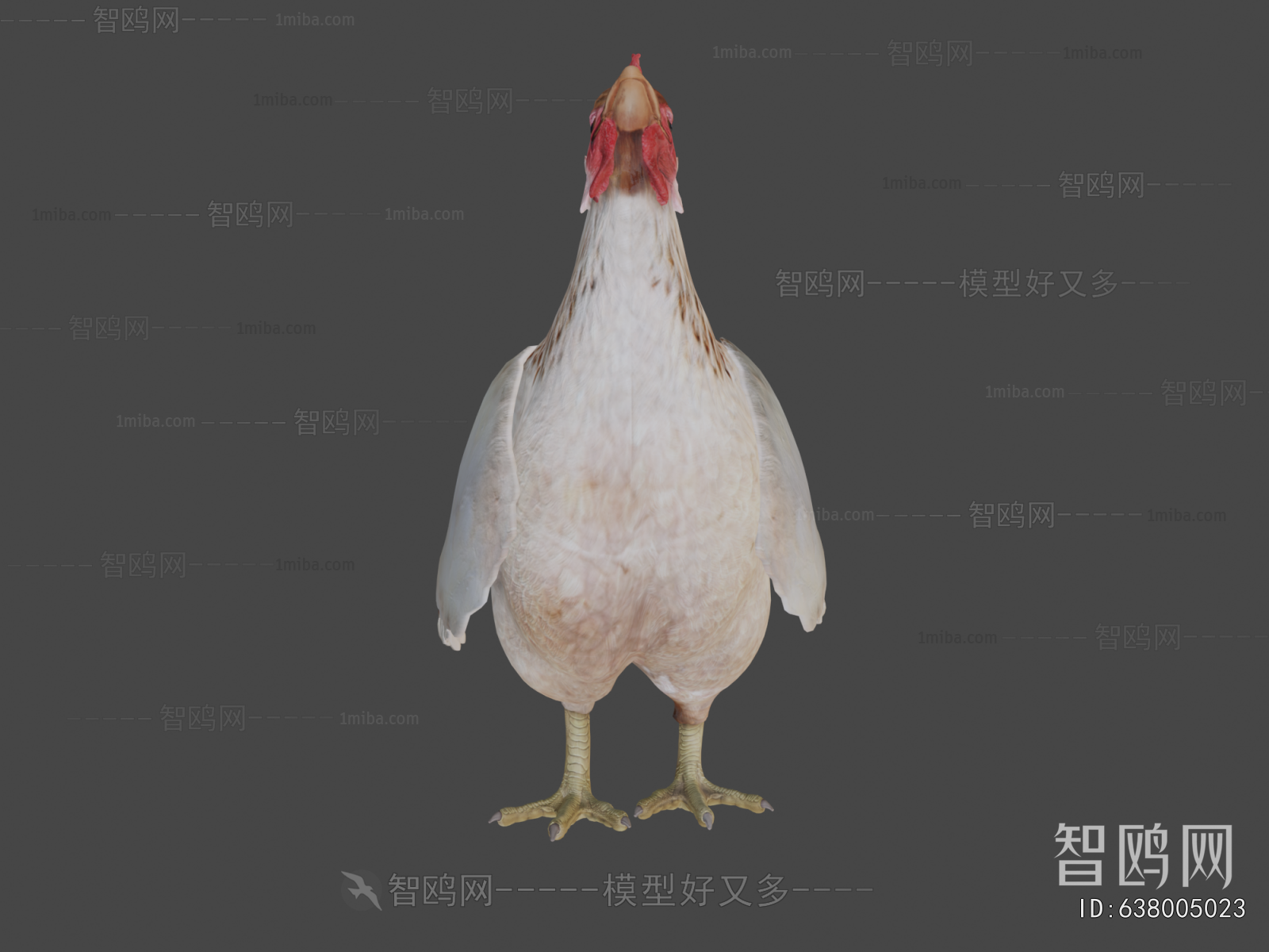 Modern Poultry Animal