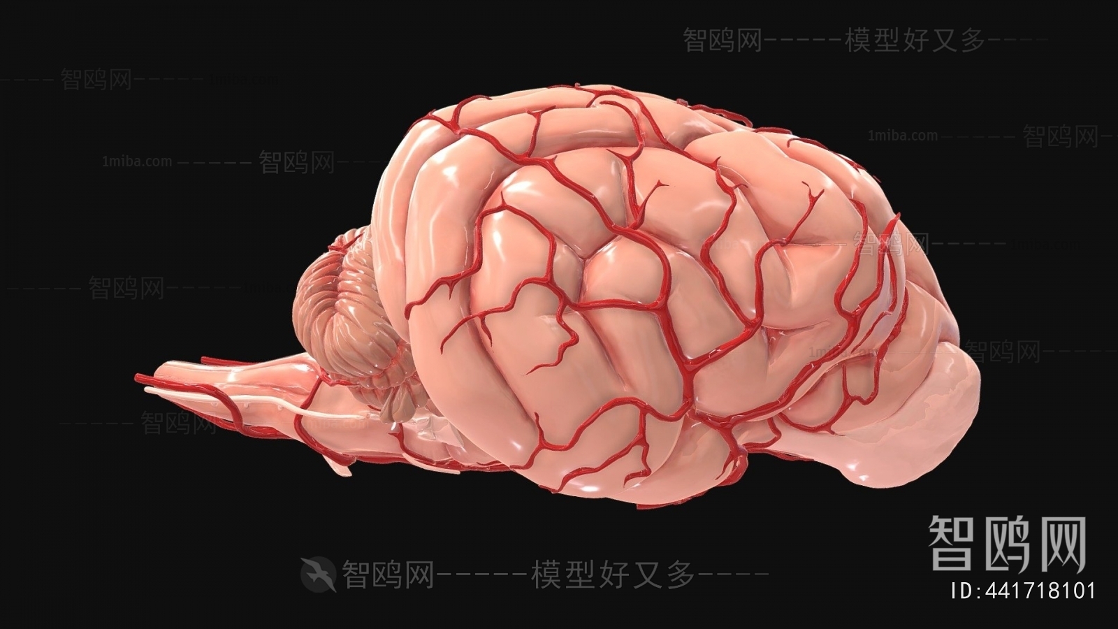 Modern Medical Equipment