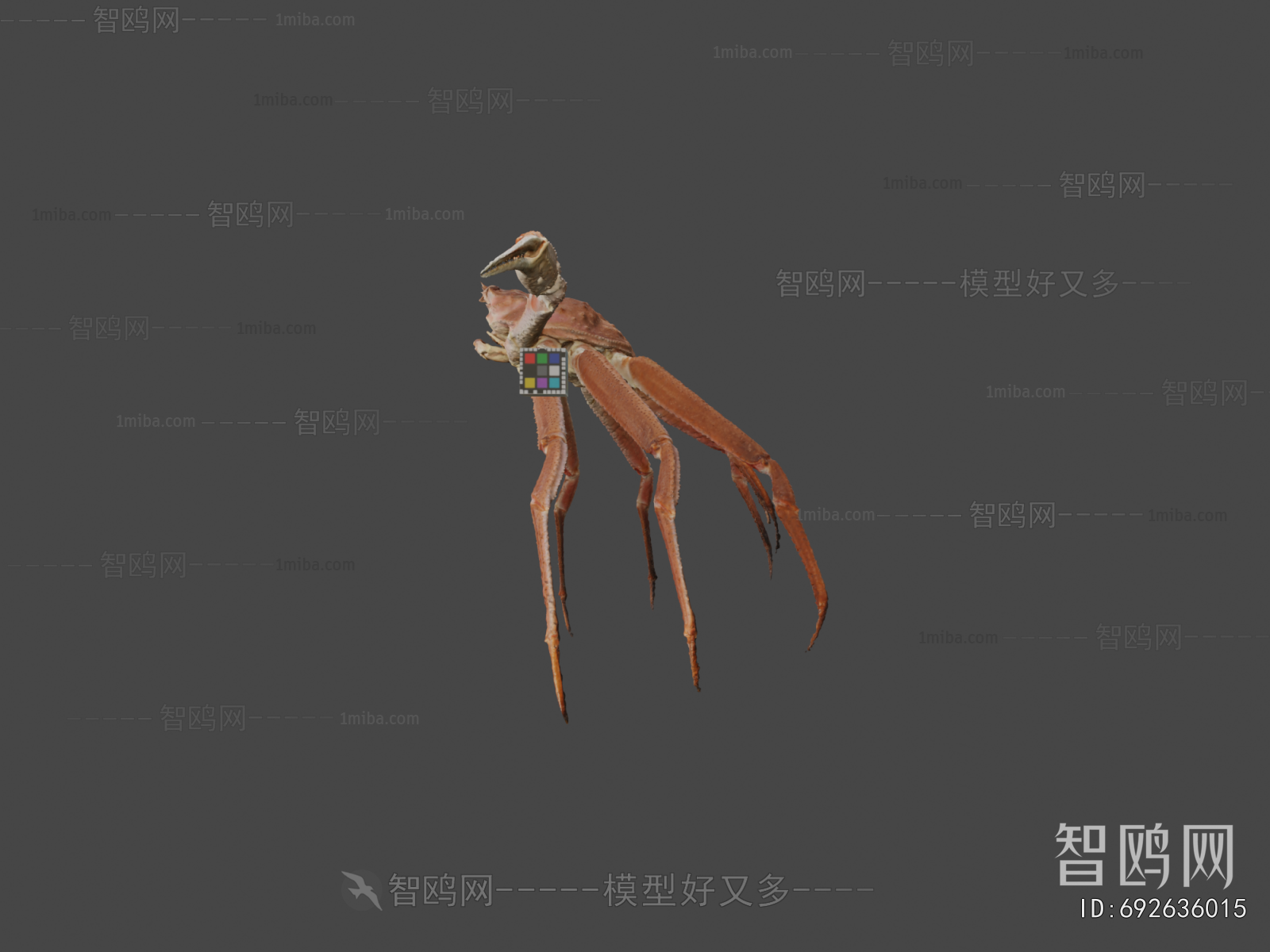 Modern Aquatic Animals