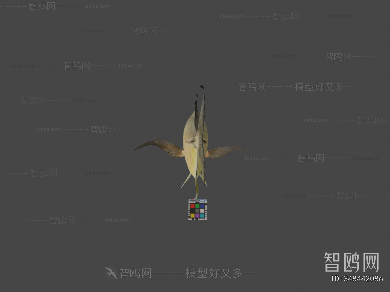 Modern Aquatic Product