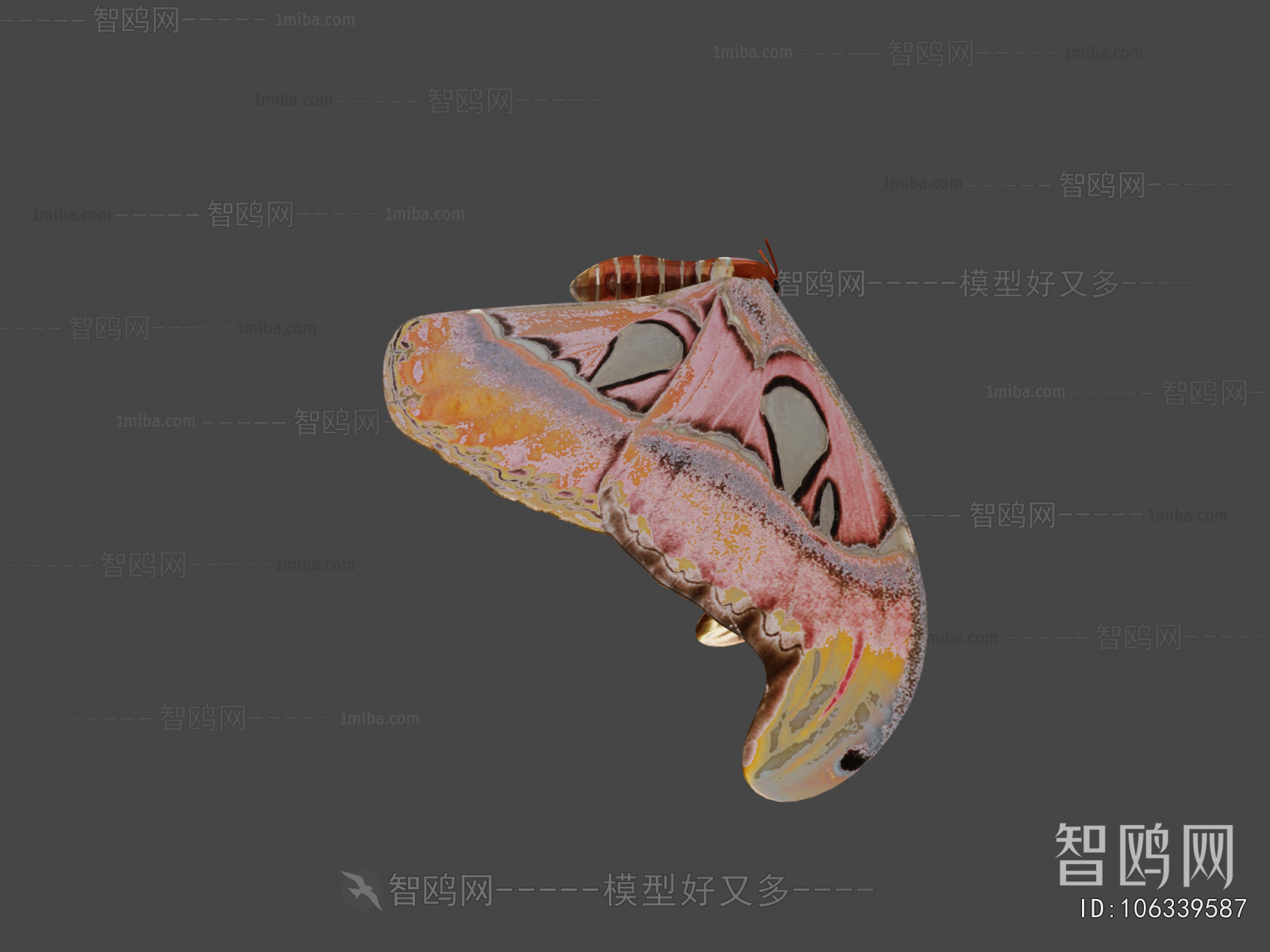 Modern Flying Animals