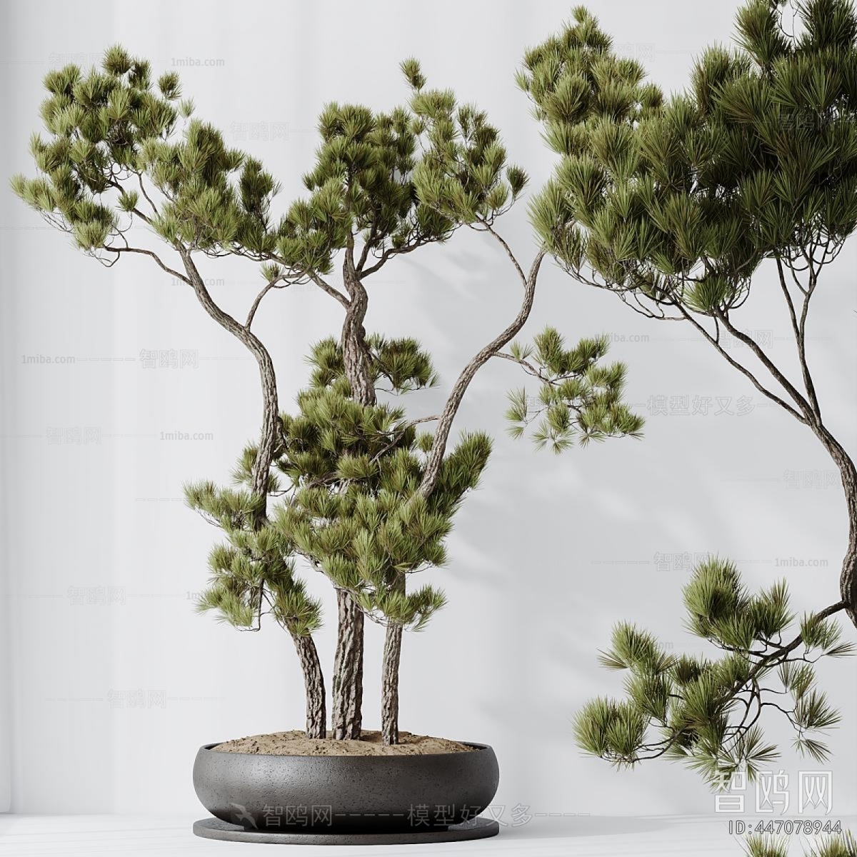 Modern Potted Green Plant