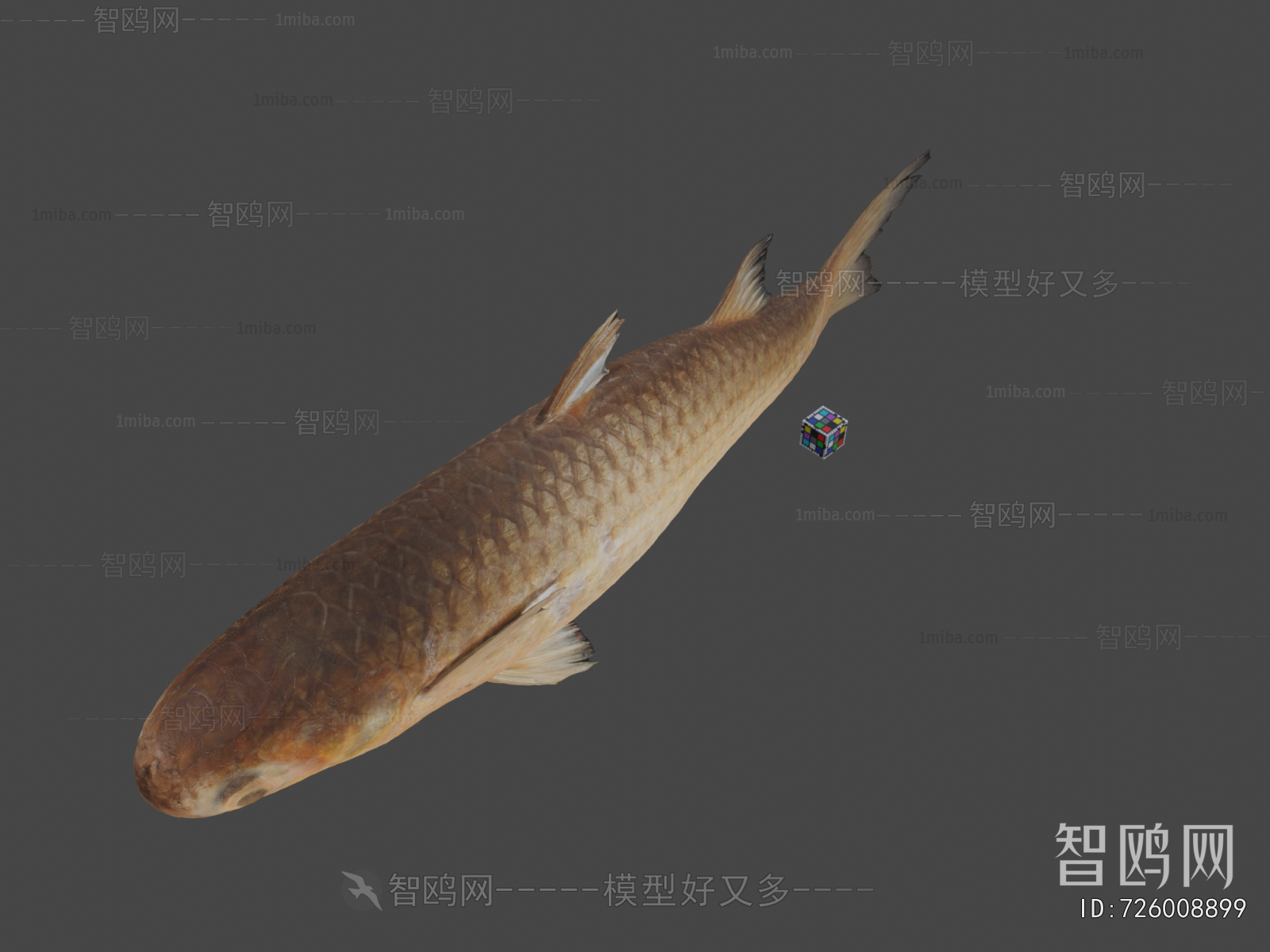 Modern Aquatic Animals