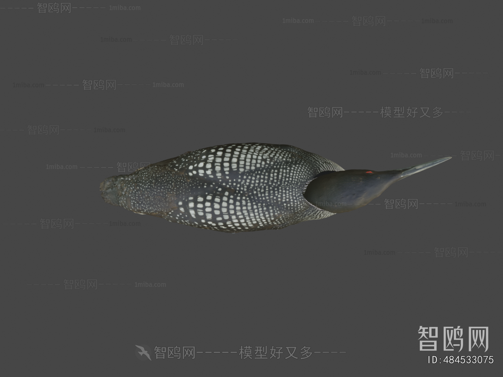 Modern Other Animals