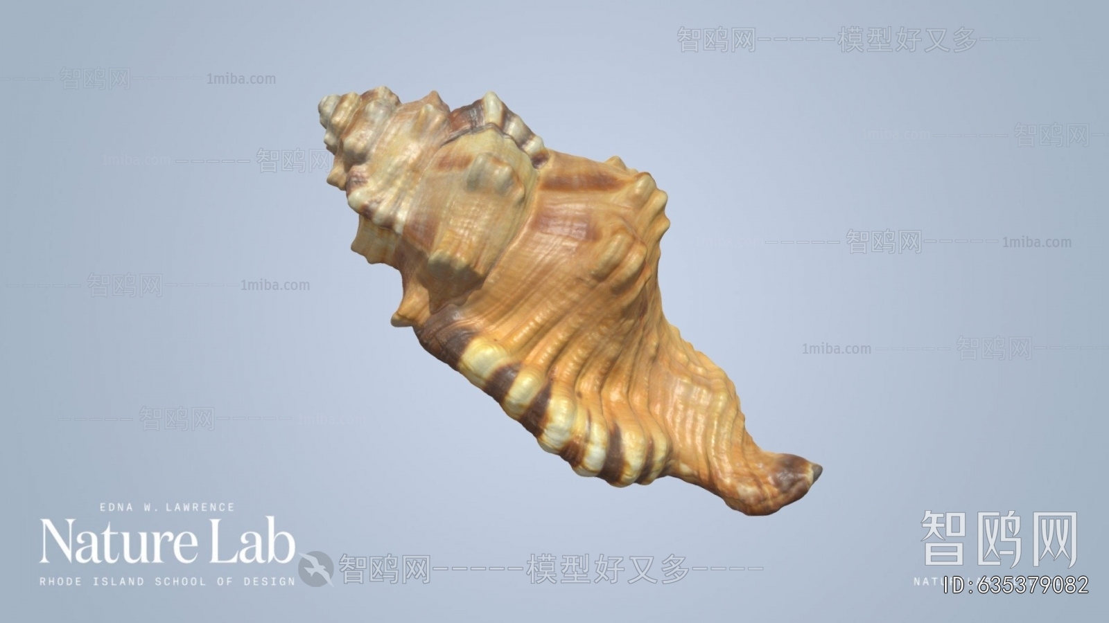 Modern Aquatic Product