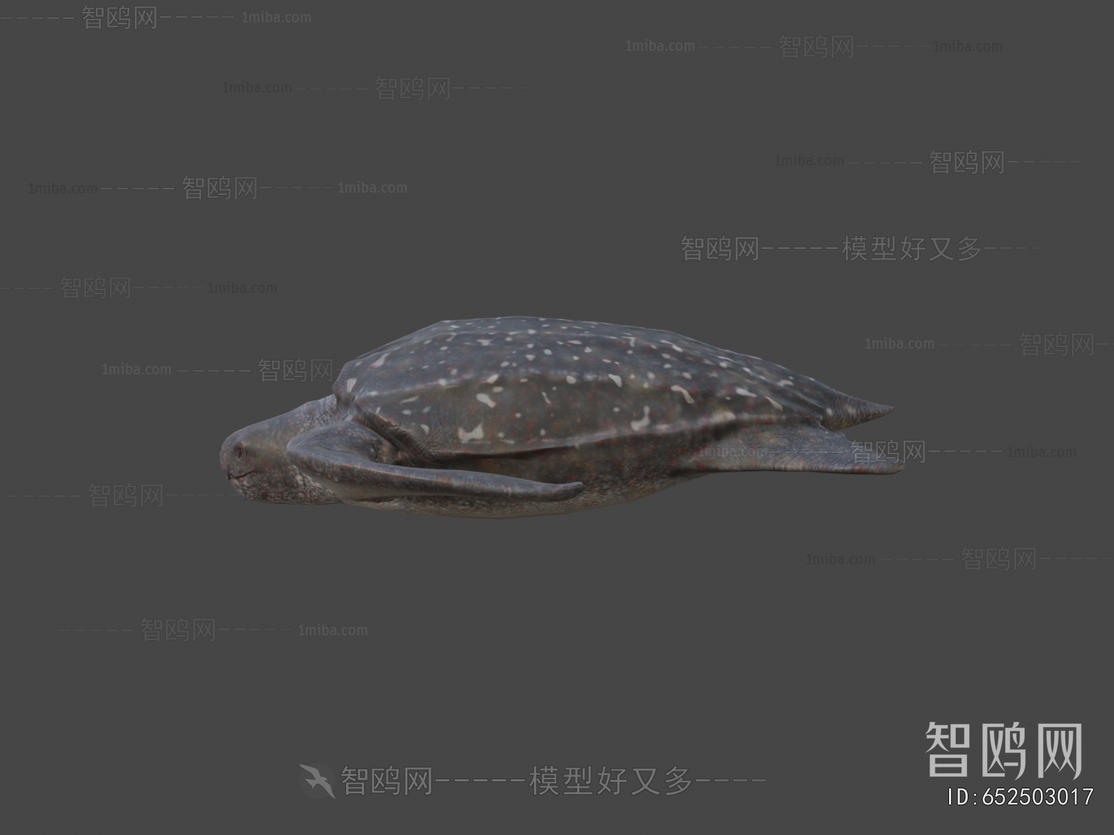 Modern Aquatic Animals