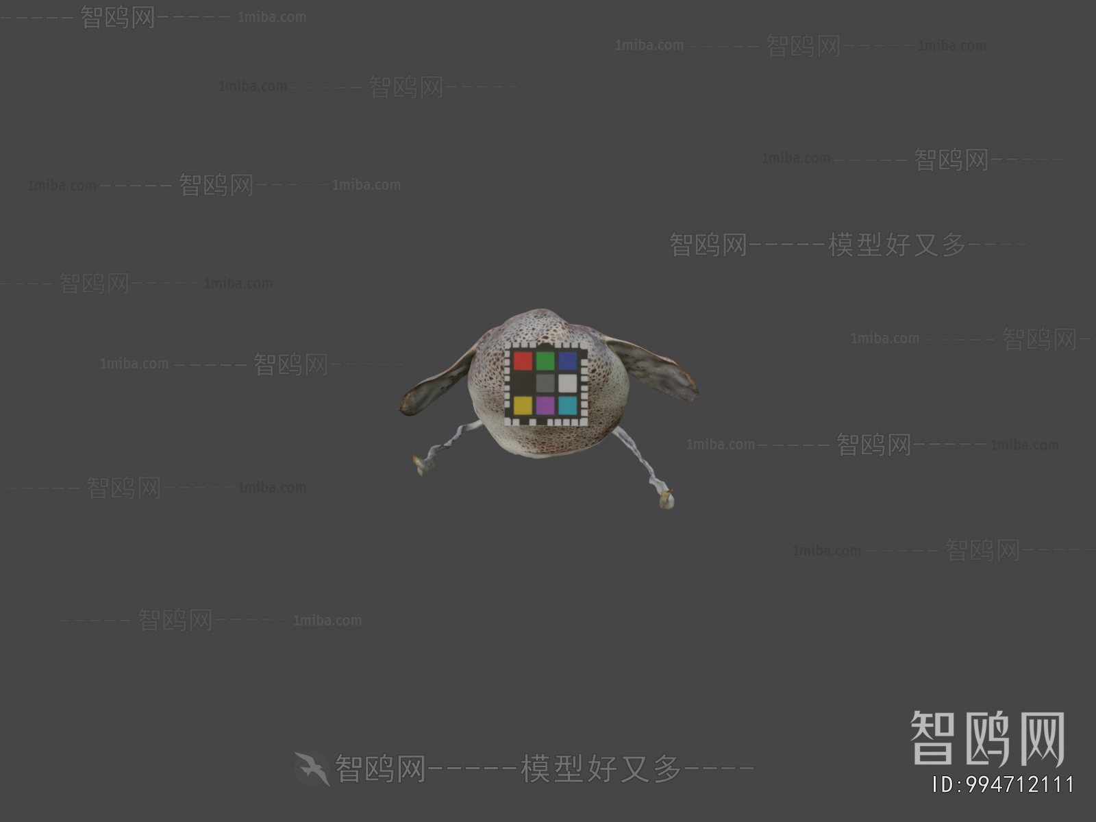 Modern Aquatic Animals