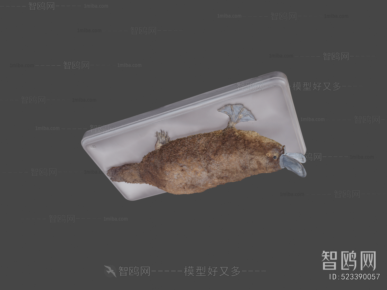 Modern Other Animals