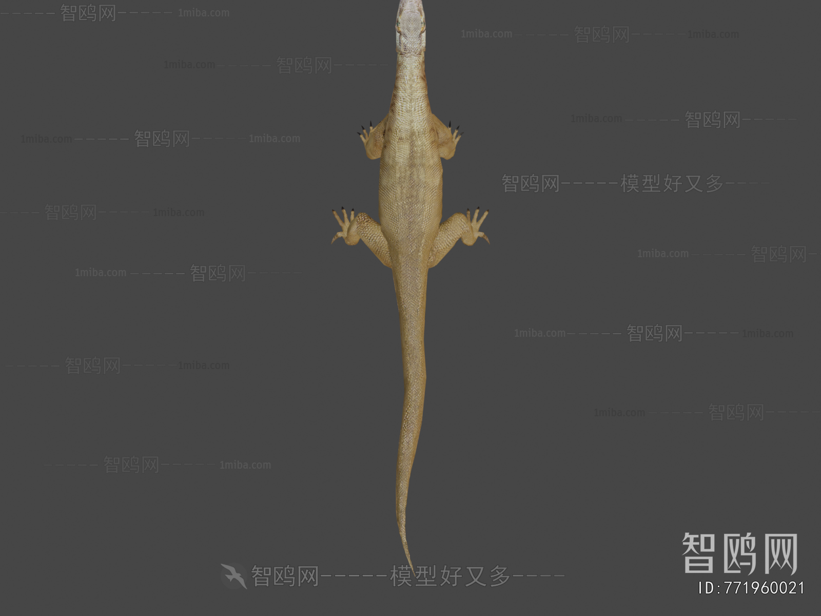 Modern Other Animals