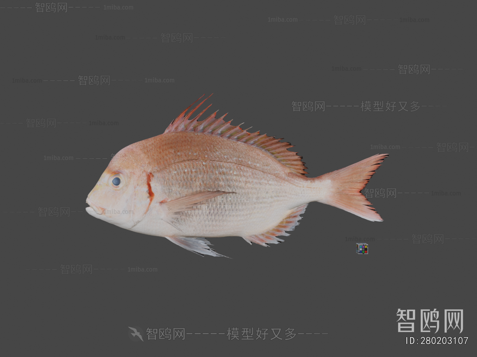 Modern Aquatic Animals