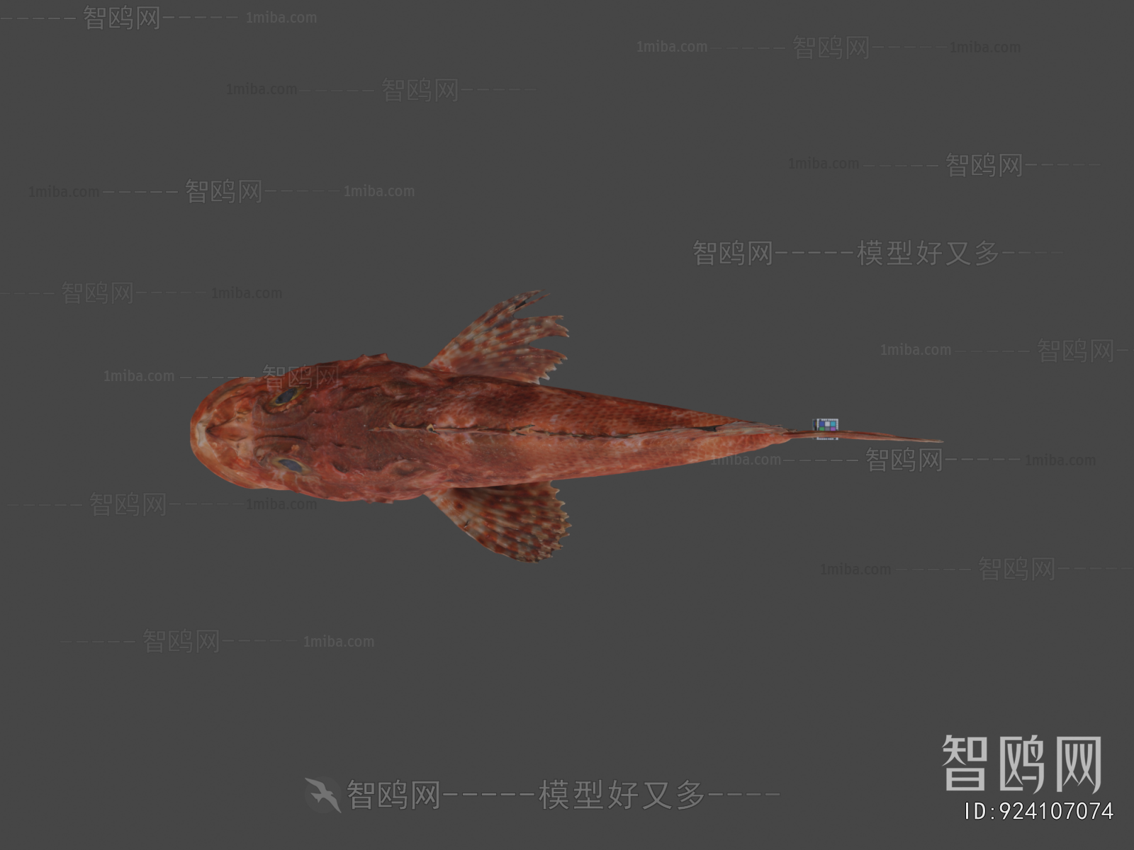 Modern Aquatic Animals