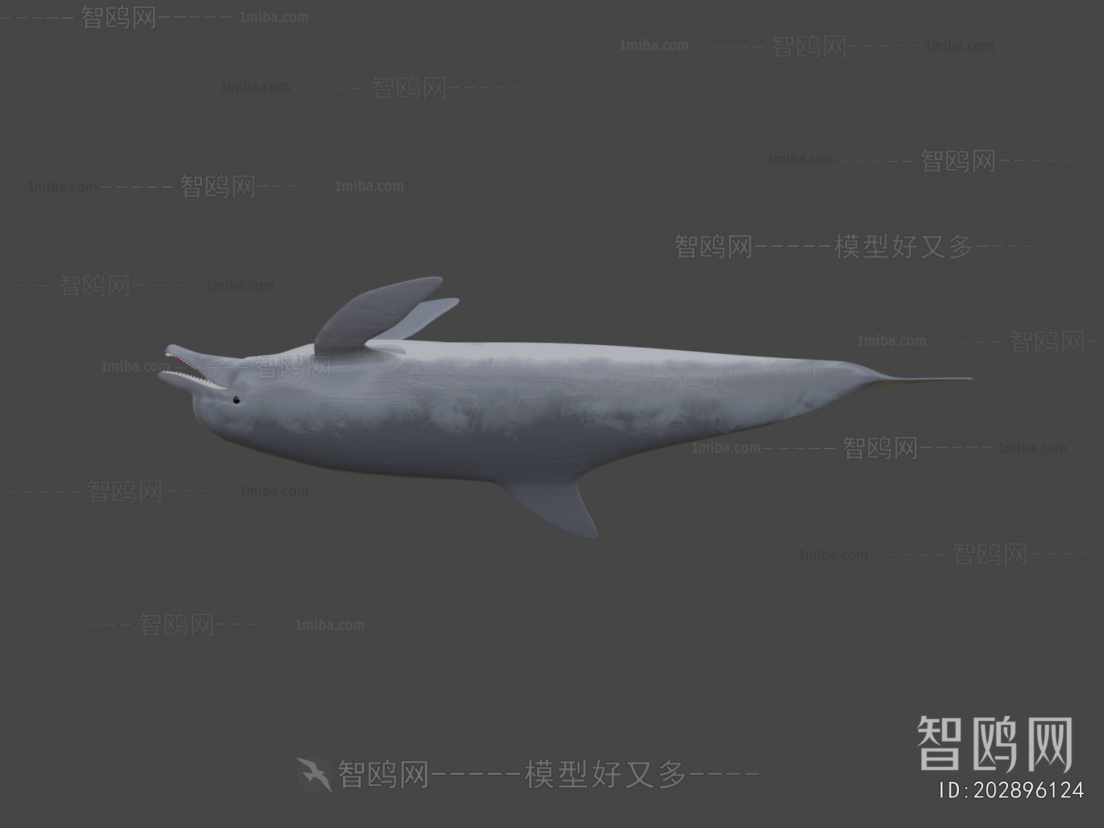 Modern Aquatic Animals